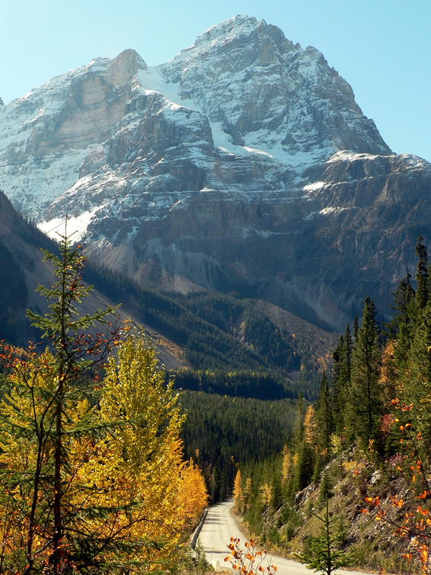 Cycling Yoho Valley Road