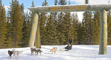 Dogsledding