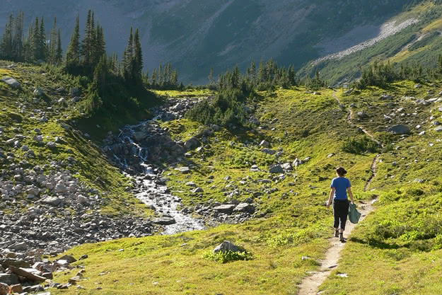 Exploring alpine meadows in the Canadian Rockies