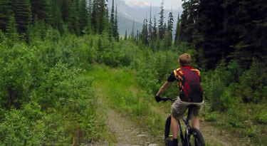 Mountain Biking