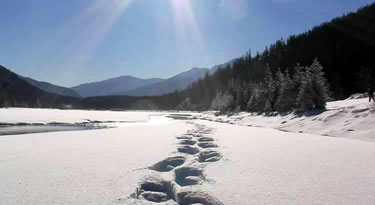 Snowshoeing