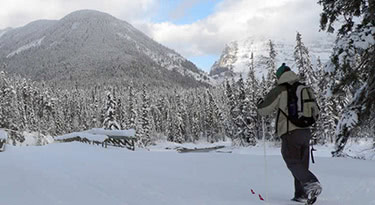 Cross Country Skiing