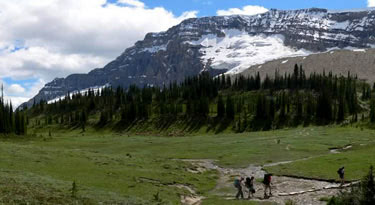 Yoho Valley