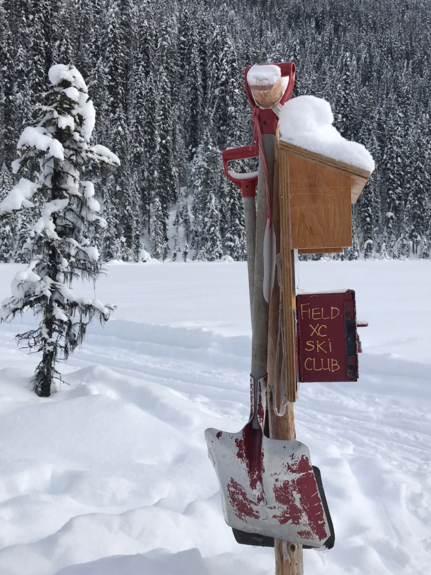 Support track setting in Yoho National Park by making a donation in one of the Kicking Horse Ski Club donation boxes