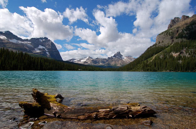 Lake O'Hara in Yoho National Park