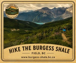 Hike the Burgess Shale, Field BC