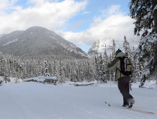 Skiing past the Meeting of the Three Rivers on the Kicking Horse Trail