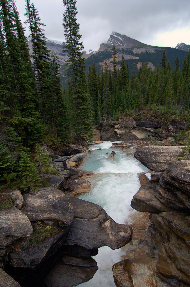 A rushing brook near Twin Falls